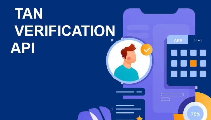 What is TAN Verification API?